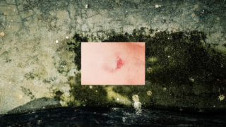 Lucy Annie Ernaux Le Parole Come Macchie.jpeg