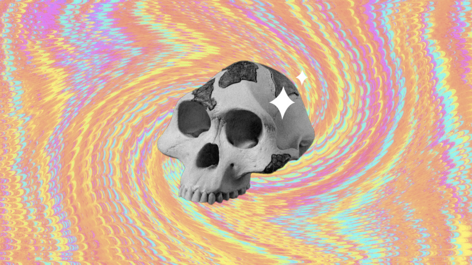 Pievani Cover Lr.jpg