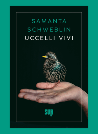 Lva Sito Samanta Schweblin Uccelli Vivi.png