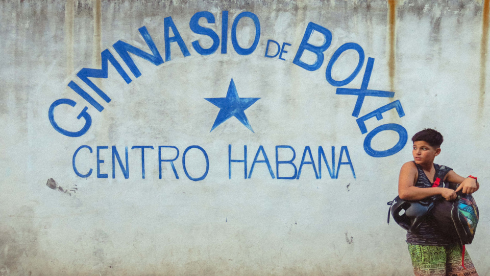 Corzani Copertina.jpg