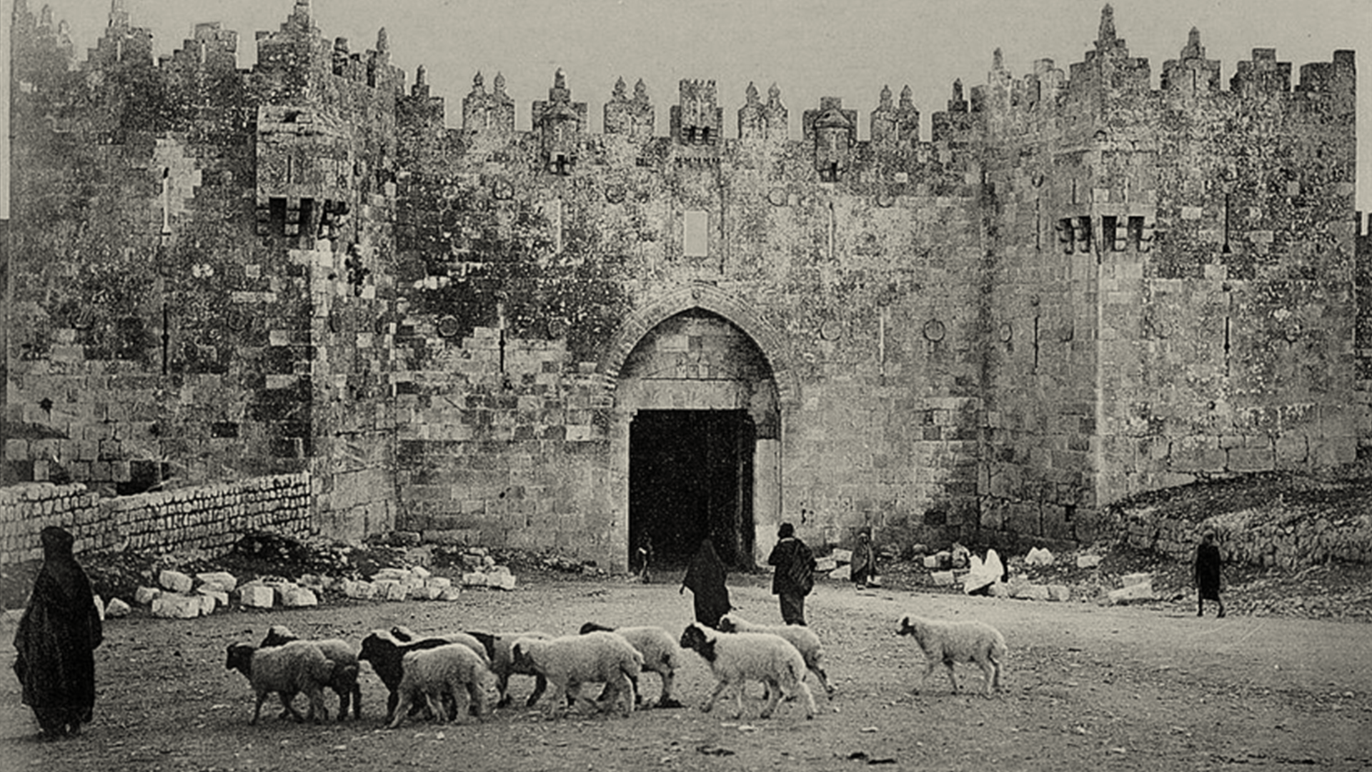 Marzano Interna 04.png