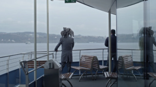 Allcats Coversito.jpg