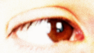 Bernardini Ezgif.com Speed 1.gif