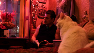 Tony Notarberardino Cover.jpg