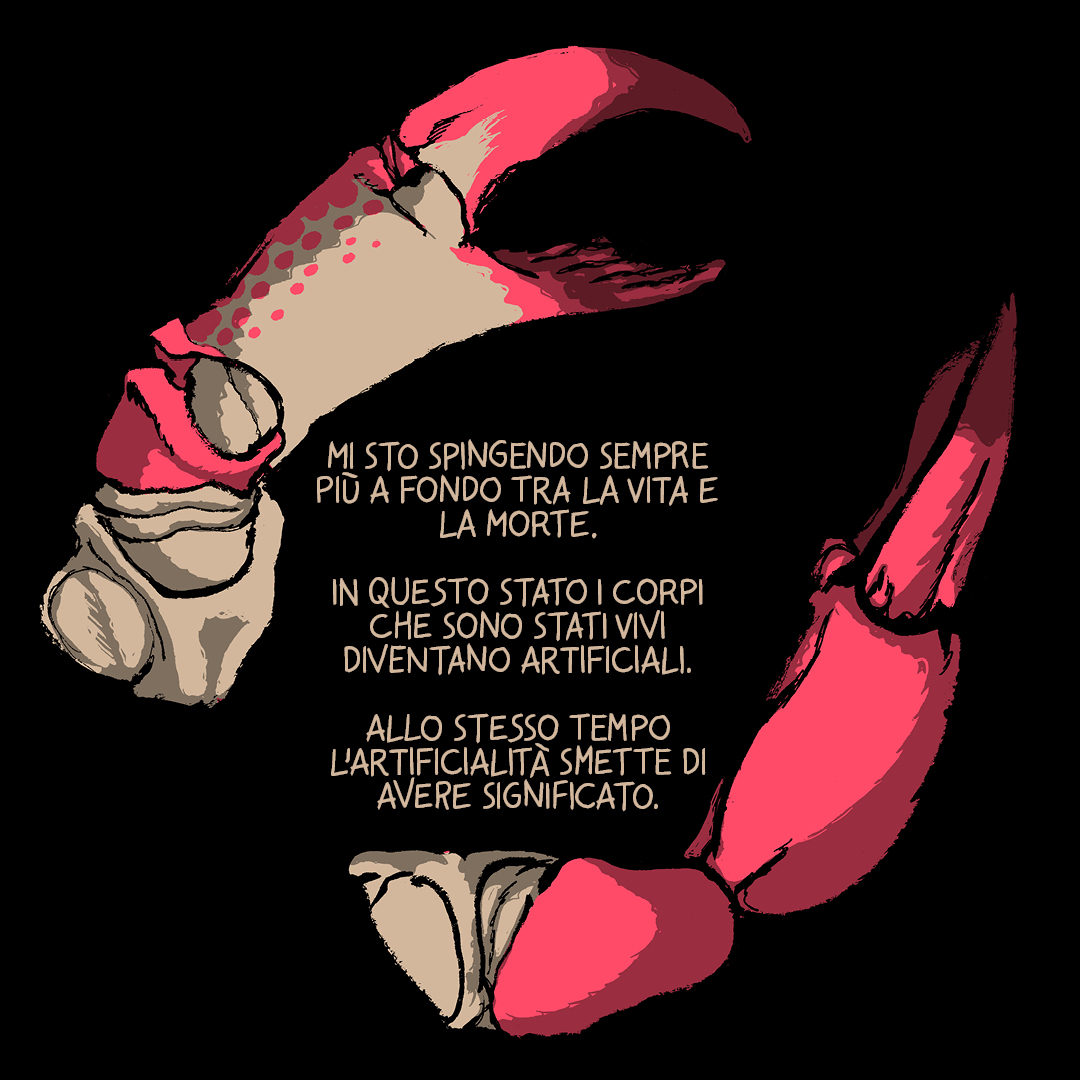 Nohmi Intervista8.jpg