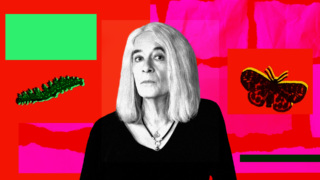 Lucy Sante Cover.jpg