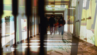 Mastrodonato Cover.jpg