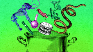 Codignola Cover 1.jpg