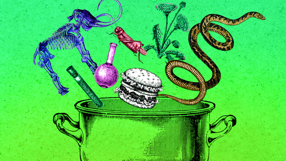 Codignola Cover 1.jpg