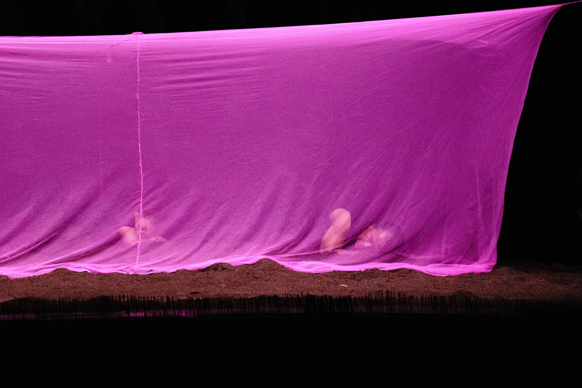 Sf24 0607 Pietro Bertora Liryc Dela Cruz 1.jpg