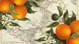 Mario Desiati Copertina.jpg