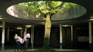 066dc303 8100 4cd4 Ae41 589b39874281.jpeg