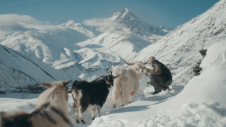 Uncle Vackos Dream Cover.png