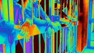 Mastrodonato Cover.jpg