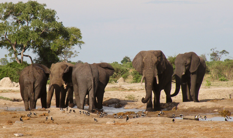 42858240 C40e 4cea 9de8 91a0263723d9.jpeg