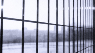 Mastrodonato Cover 1.jpg