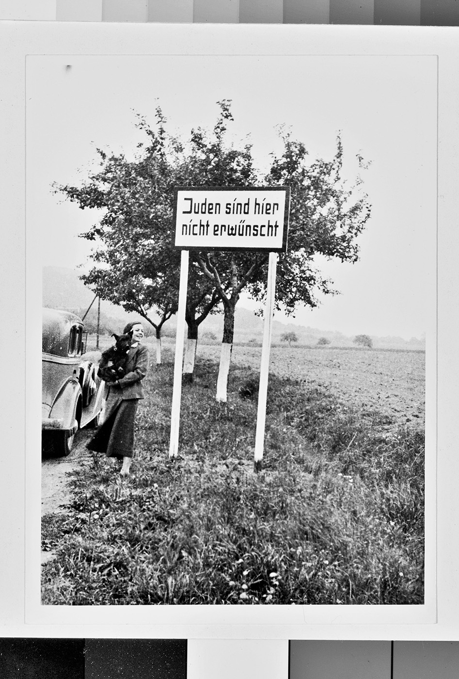 2 L2005 30 6 016.jpg