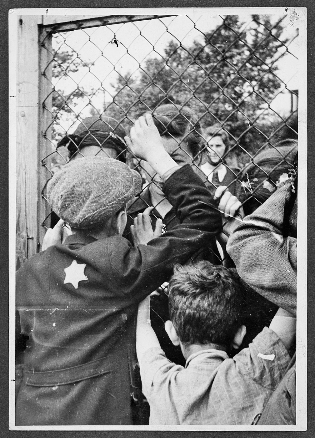 33 Ago 15942 Standard Print.jpg