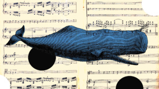 Buoninconti Cover.jpg