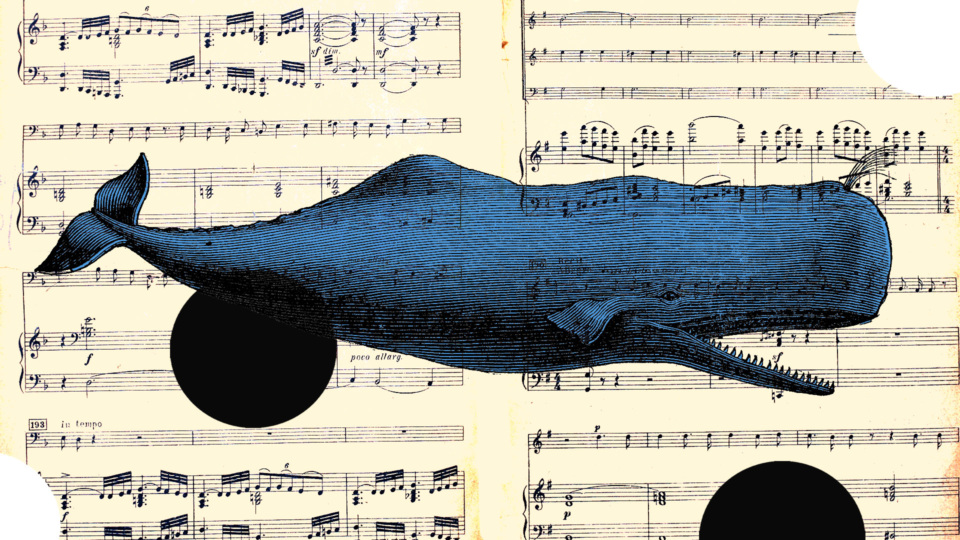 Buoninconti Cover.jpg