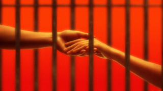 Mastrodonato Cover.jpg