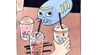 Cover Gatto Pernucci.jpg