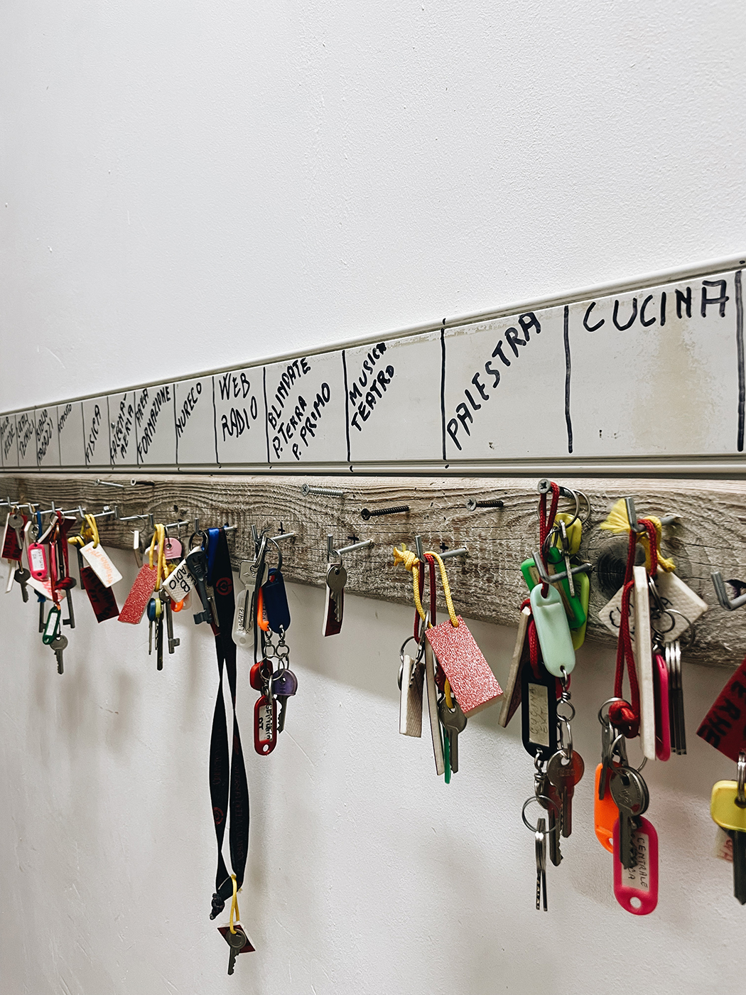 Maestri Di Strada @federicaverona 3.jpg