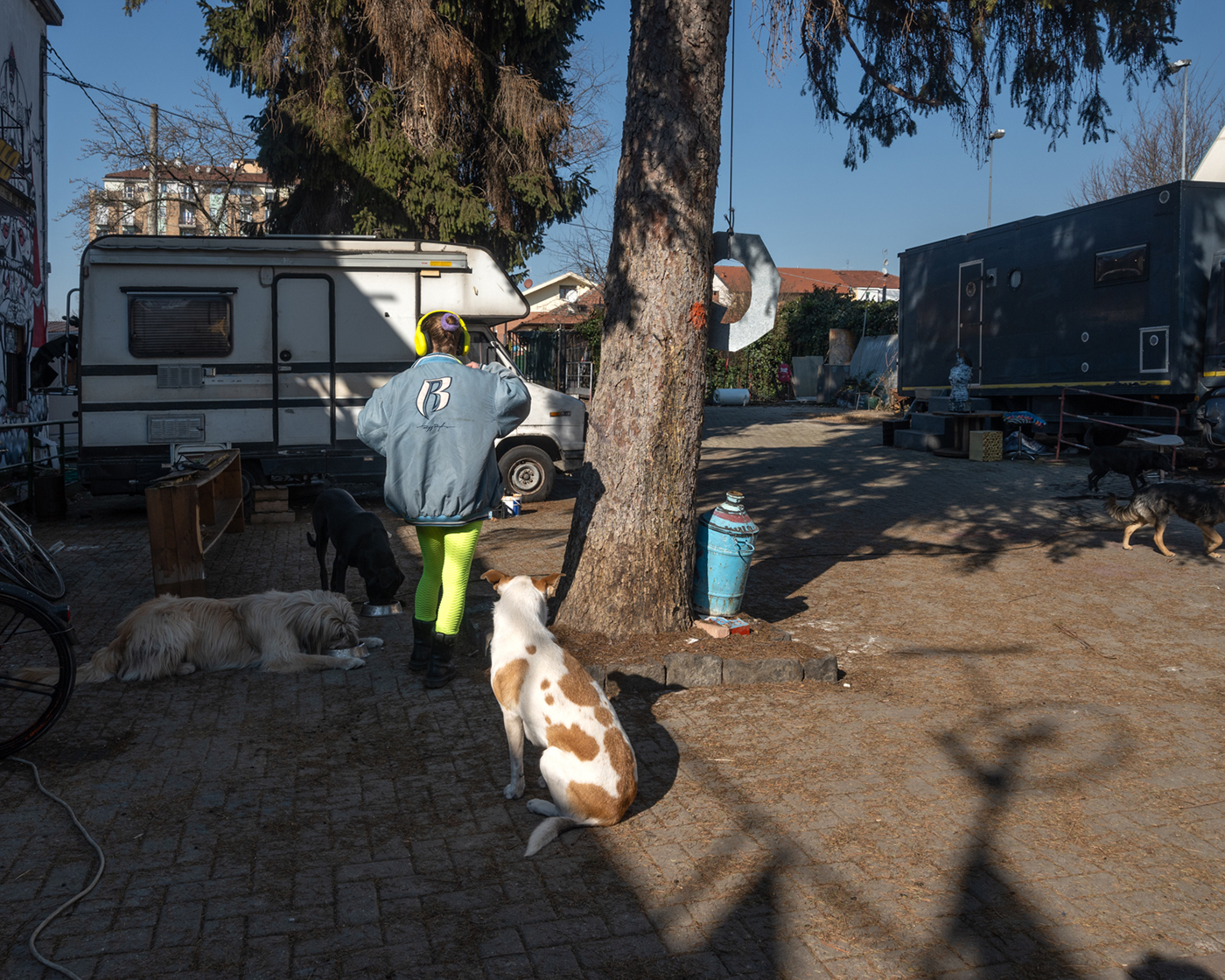 Proboscis Shortsequence 002.jpg